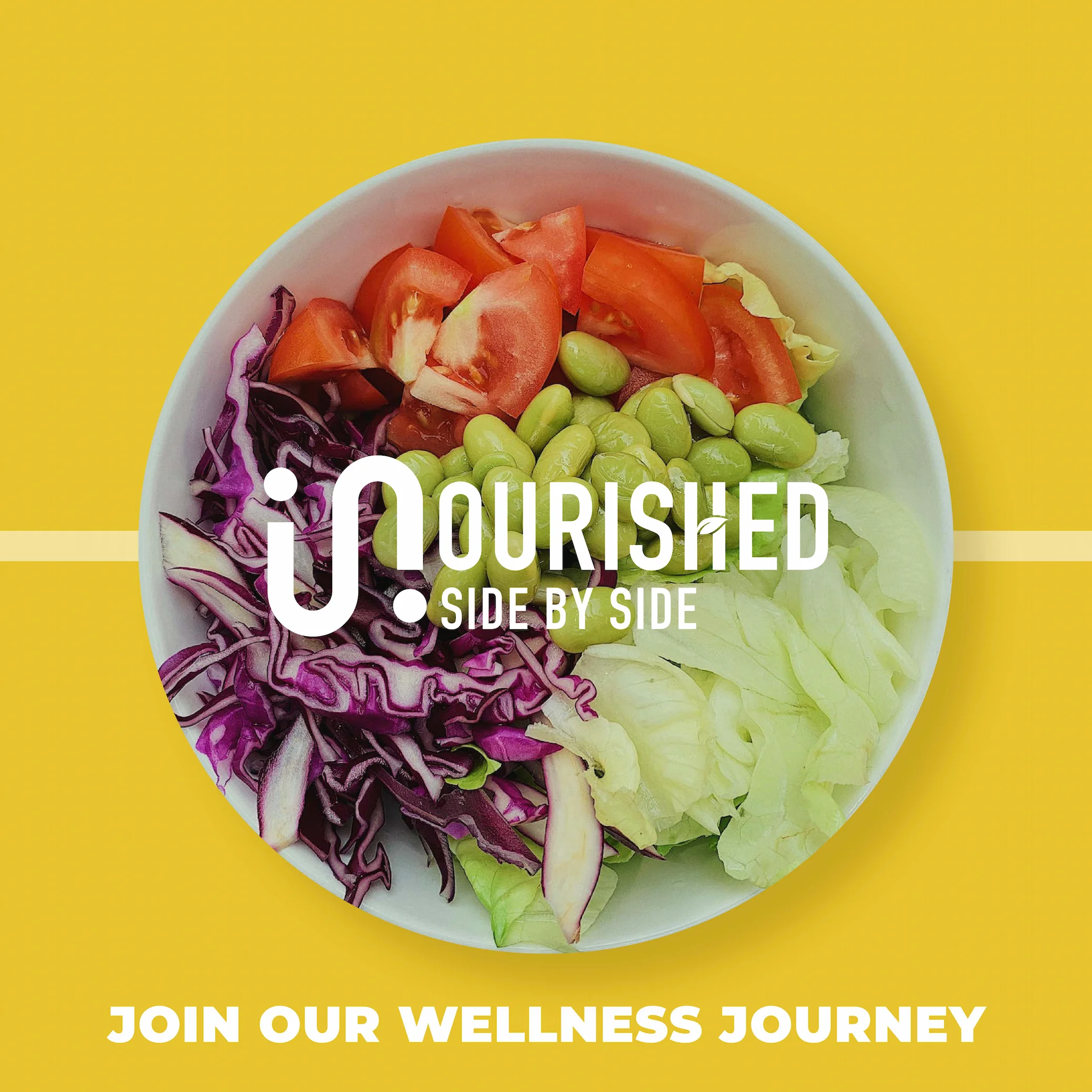 Nourished Social V3-12